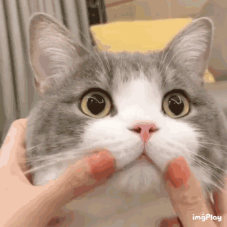 :9: