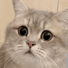 :30: