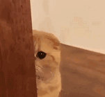 :38: